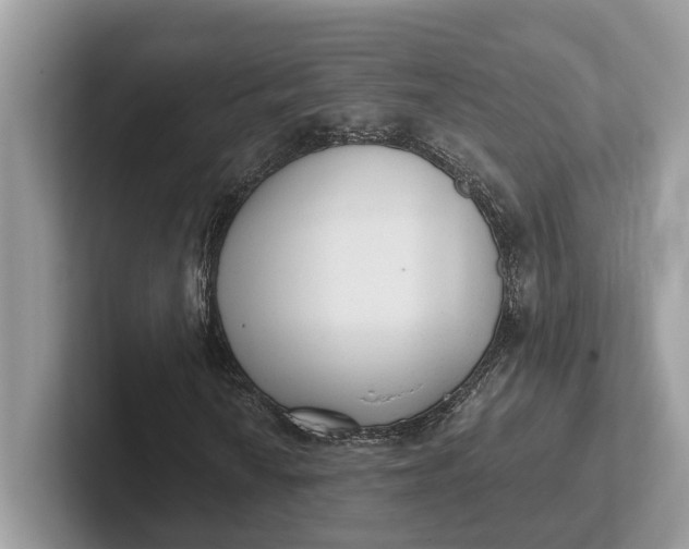 X0000101431010200807211145