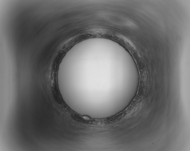 X0000101431016200807211145