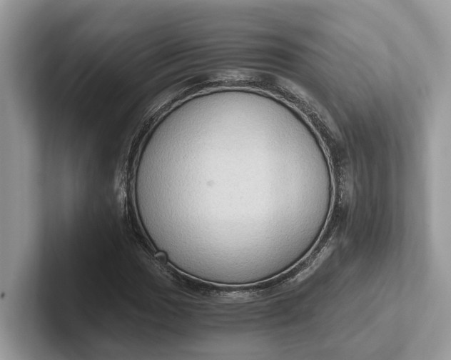 X0000101431017200807211145