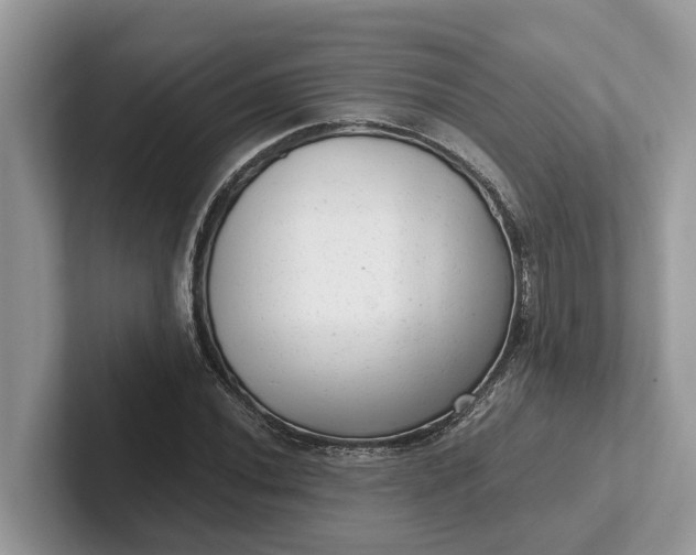 X0000101431020200807211145