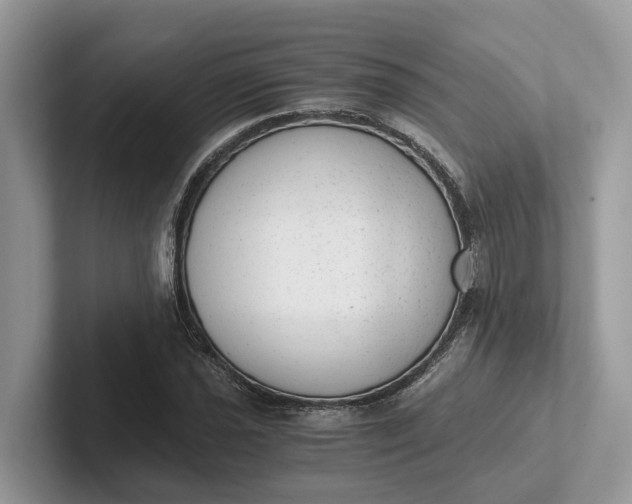 X0000101431021200807211145