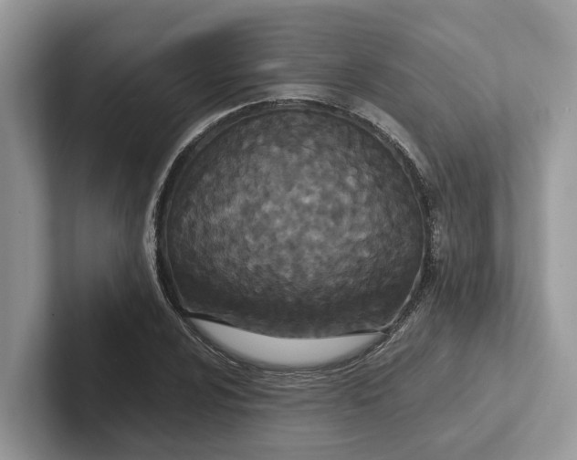 X0000101431024200807211145