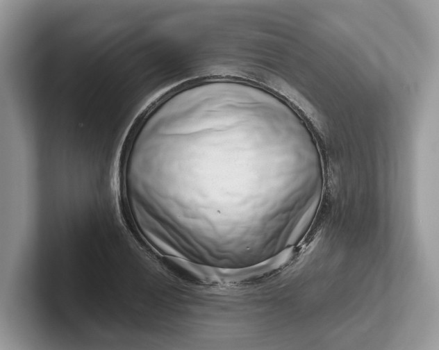 X0000101431028200807211146