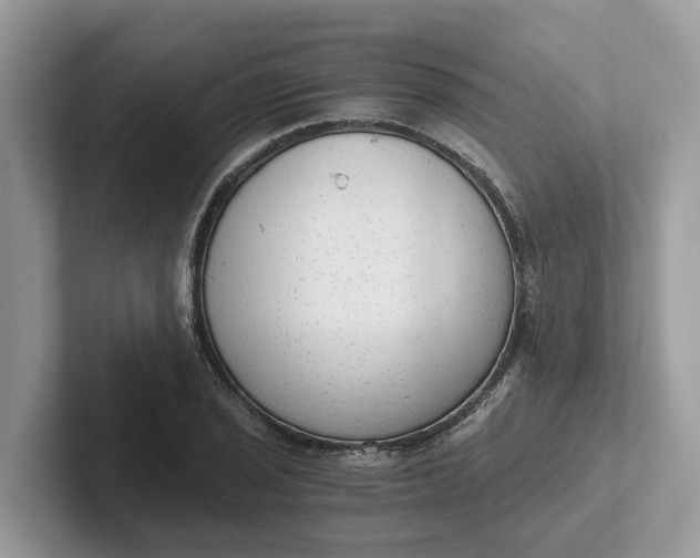 X0000101431029200807211146