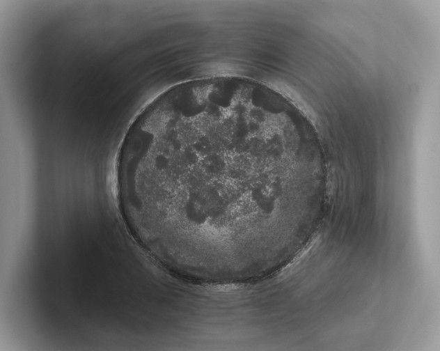 X0000101431031200807211146