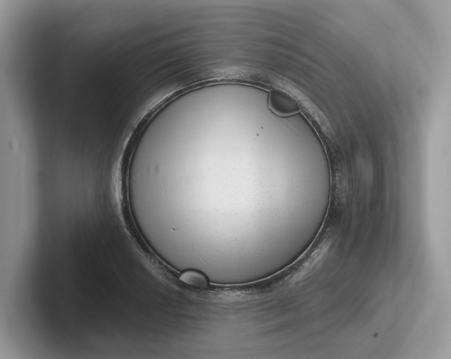 X0000101431034200807211146