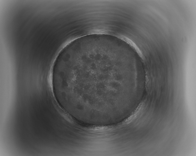 X0000101431035200807211146