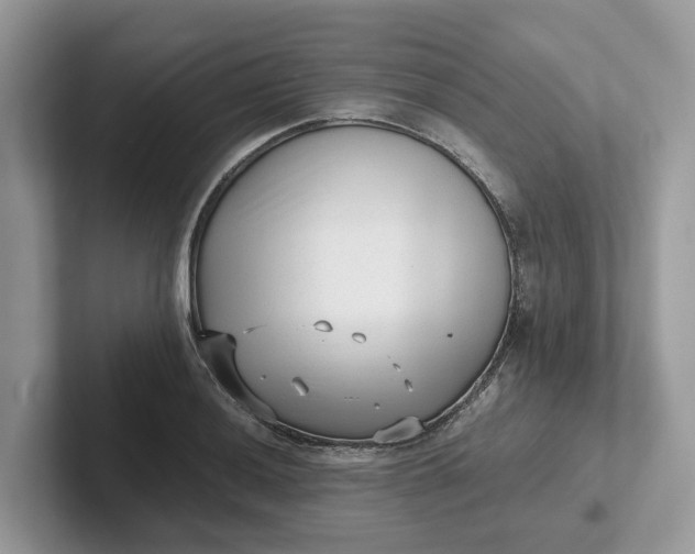 X0000101431036200807211146