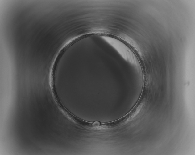 X0000101431037200807211146