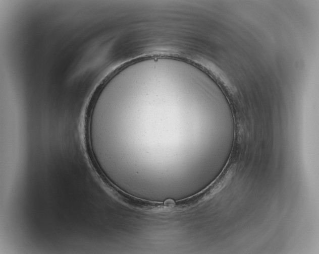 X0000101431038200807211146