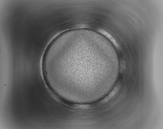 X0000101431039200807211146