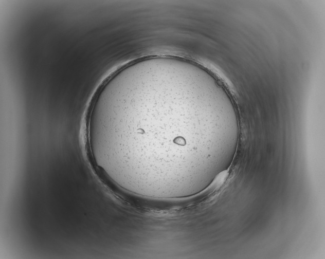 X0000101431040200807211146