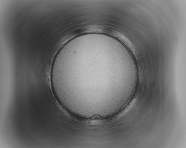 X0000101431041200807211146