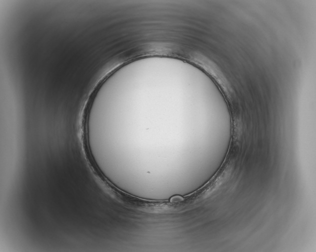 X0000101431042200807211146