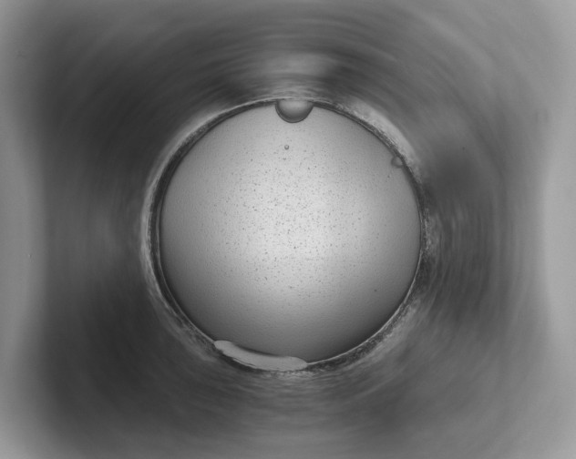 X0000101431043200807211146