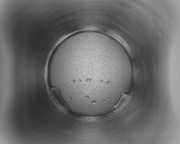 X0000101431044200807211146