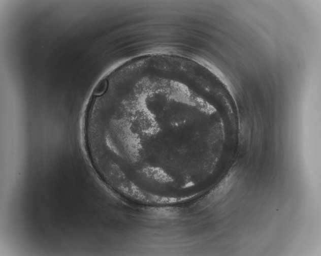 X0000101431045200807211146