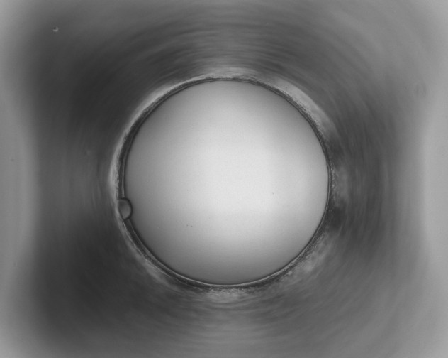 X0000101431046200807211146