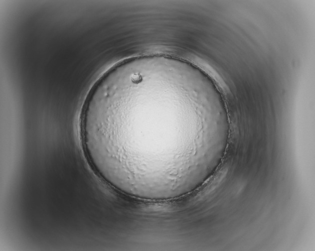 X0000101431047200807211146