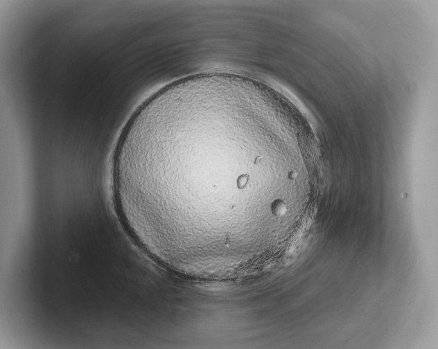 X0000101431048200807211146