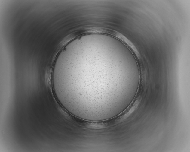 X0000101431049200807211146