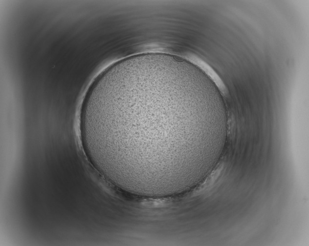 X0000101431051200807211146