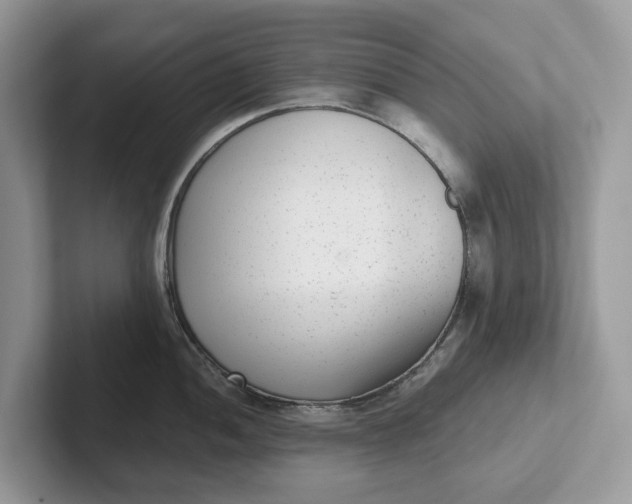 X0000101431052200807211146