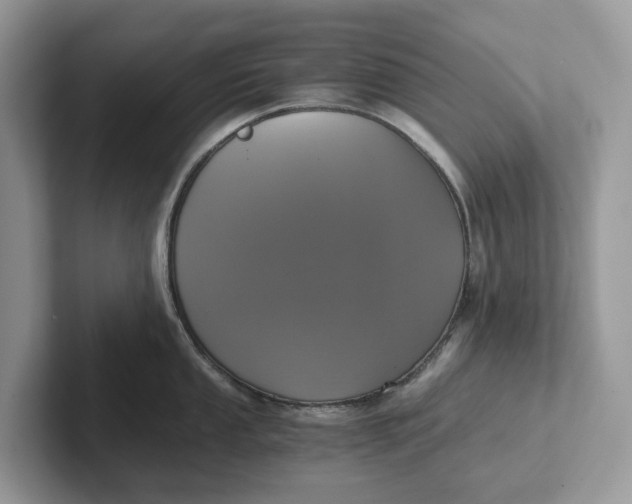 X0000101431053200807211146