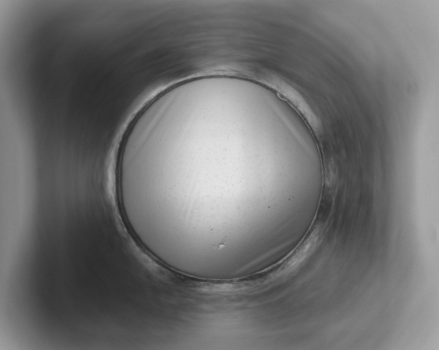 X0000101431054200807211146