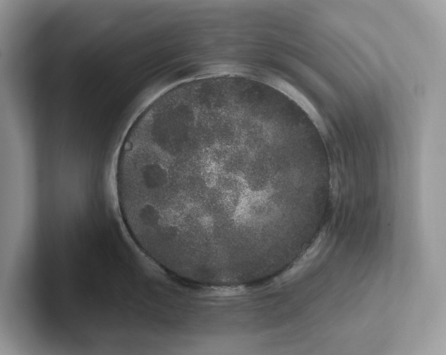 X0000101431055200807211146