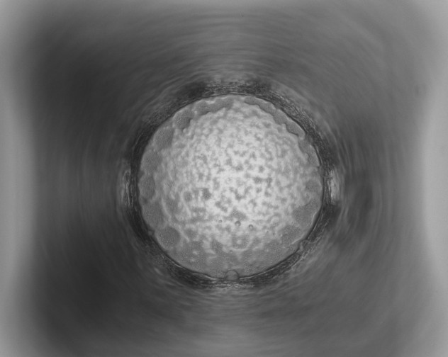 X0000101431059200807211145