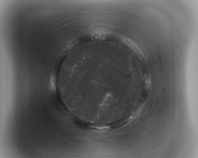 X0000101431060200807211145