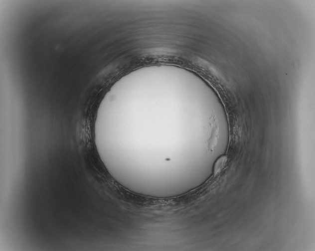 X0000101431062200807211145