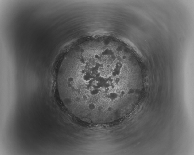 X0000101431063200807211145