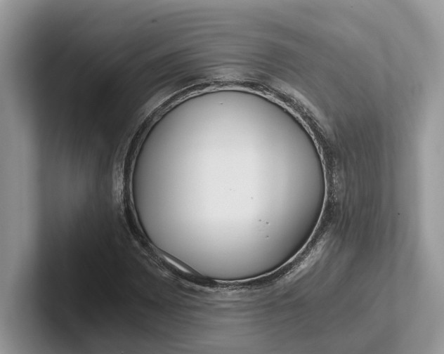 X0000101431065200807211145