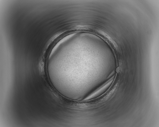 X0000101431066200807211145