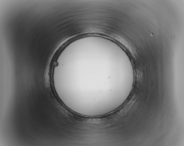 X0000101431068200807211145