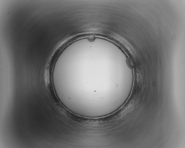 X0000101431069200807211145