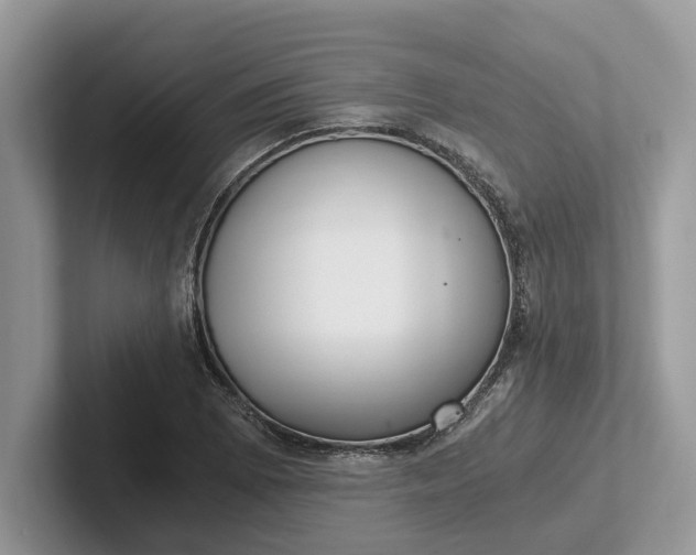 X0000101431073200807211145