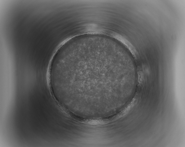 X0000101431074200807211145