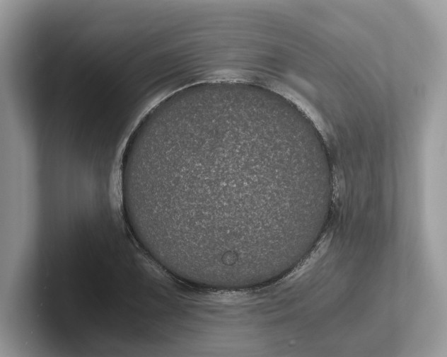 X0000101431075200807211145