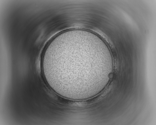 X0000101431078200807211145