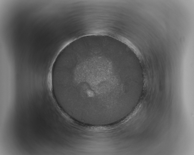 X0000101431079200807211145