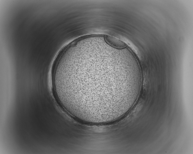 X0000101431080200807211145