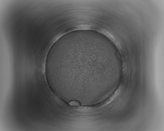 X0000101431081200807211145