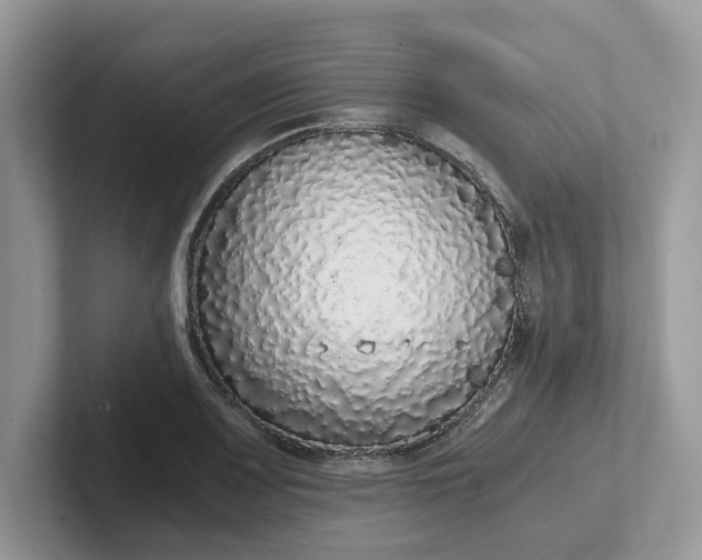 X0000101431083200807211145