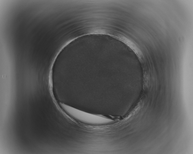 X0000101431084200807211145