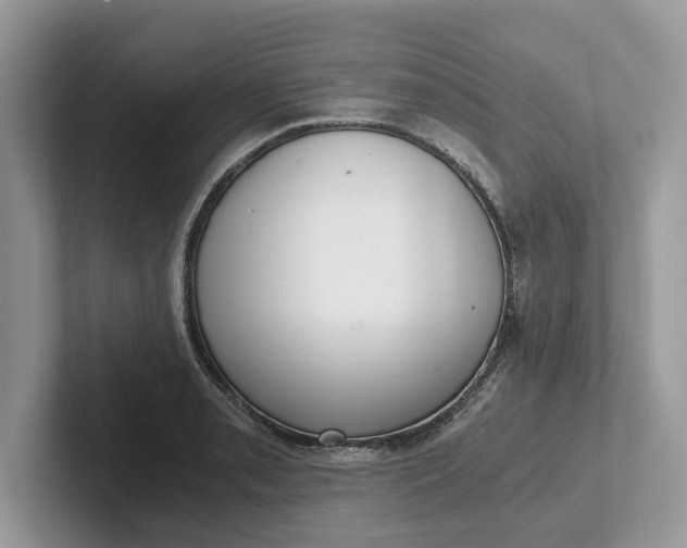 X0000101431085200807211145