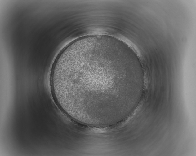 X0000101431086200807211145