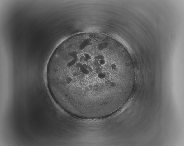 X0000101431087200807211145